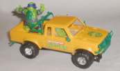 Turtle Pick-up