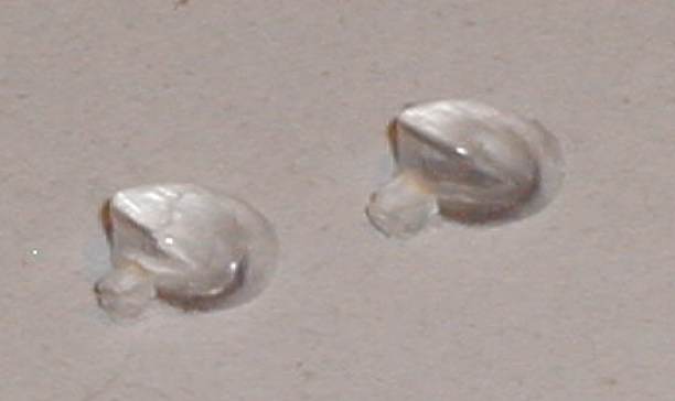 Vintage Scalextric spares Aston Martin DBR headlight lenses